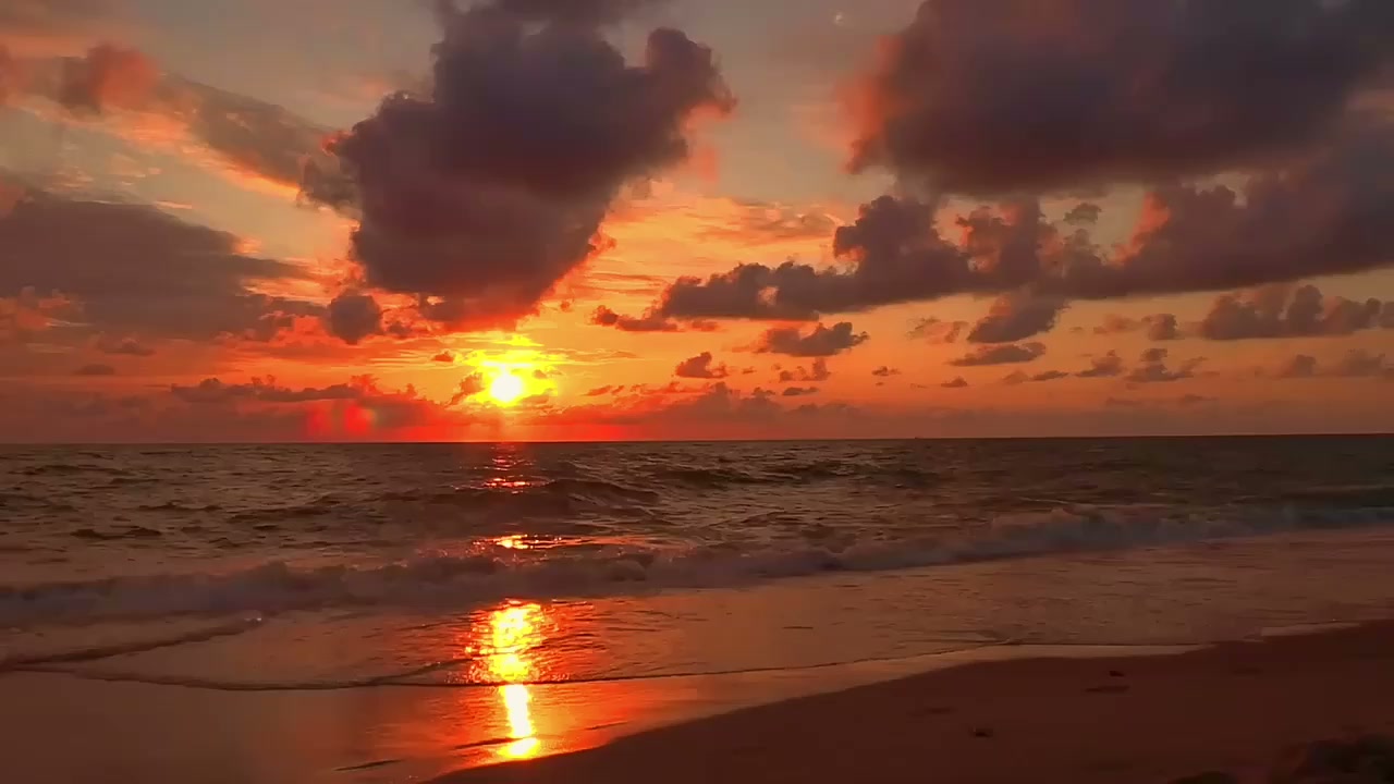 From the streets of Istanbul